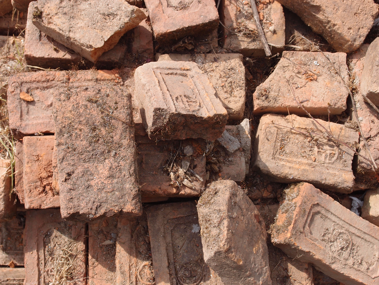 2018-01-16 12 Uhr - Im Shivapuri Nagarjun National Park (Nagi Gumba) (Foto) 